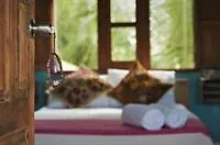 Hotel La Chaya Holbox  Isla Holbox